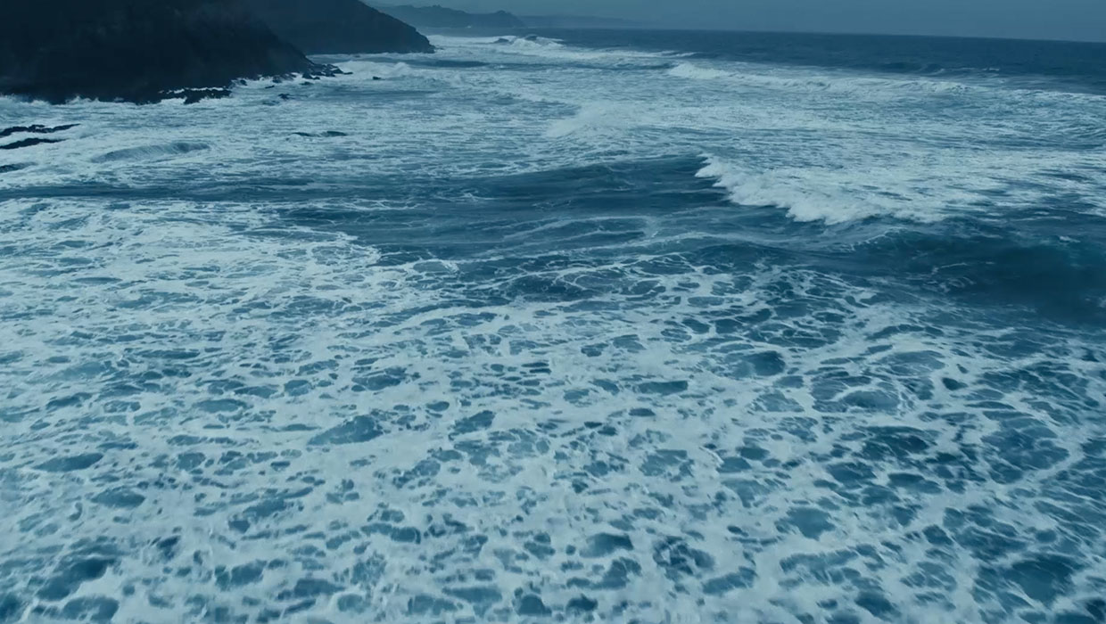 The Sea